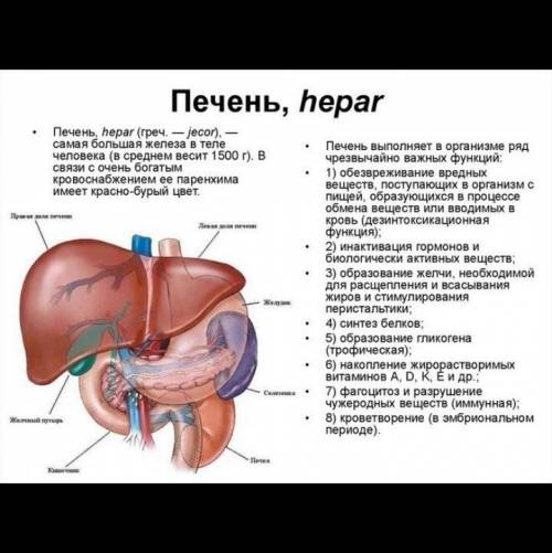 Где тут может быть ошибка?