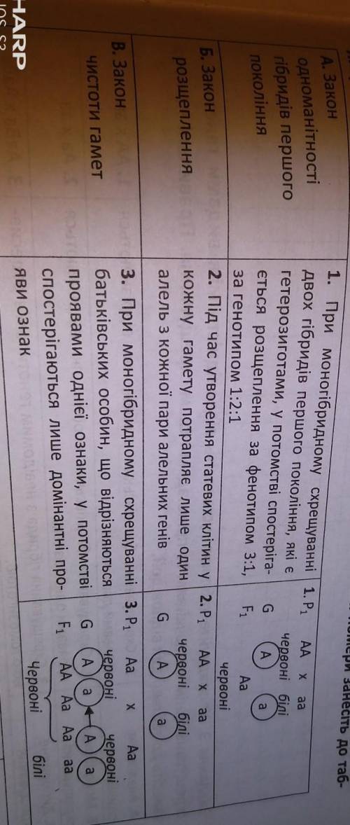 Объясните законы Менделя о генетике. Простыми словами и выполните задание.Огромная благодарность!​