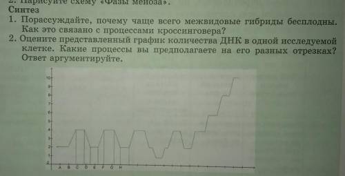 Оцените представленный график количества ДНК в одной исследуемое клетке. Какие процессы вы предполаг