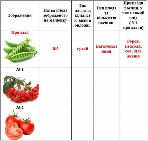 Заповніть таблицю «Різноманітність плодів», за наведеним прикладом (рисунки малювати НЕ потрібно) (