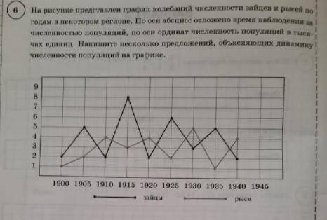 На рисунке представлен график колебаний численности зайцев и рысей по годам