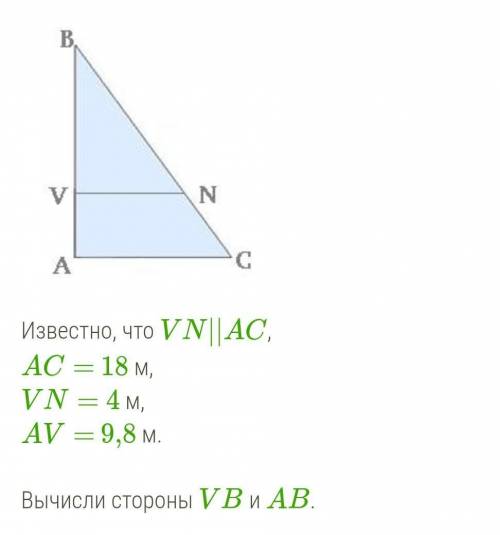 ￼  Известно, что VN||AC,AC= 18 м,VN= 4 м,AV= 9,8 м.Вычисли стороны VB и AB.​