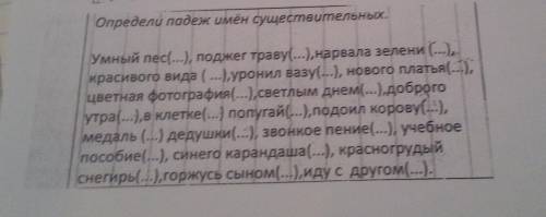 Определите падеж имён существительных