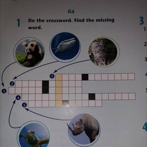 6a Do the crossword. Find the missing word.