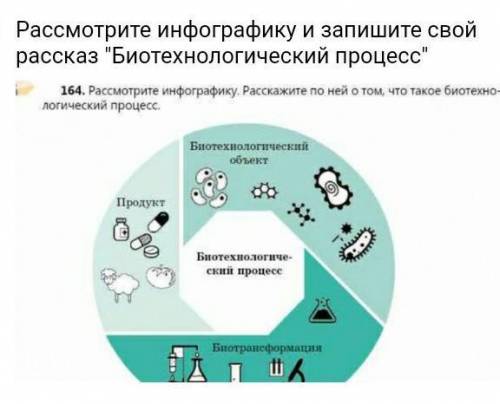 Рассмотрите инфографику и запишите свой рассказ Биотехнологический процесс​