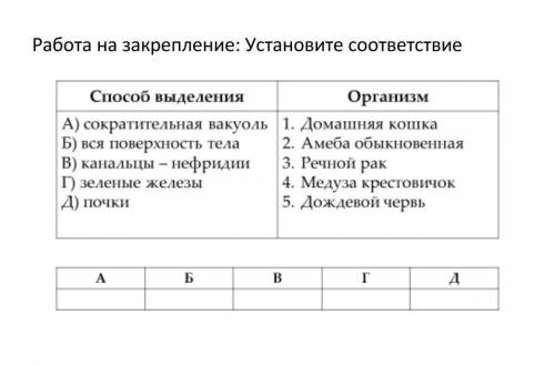 ЕСТЕСТВОЗНАНИЕ НАДО ЕСТЕСТВОЗНАНИЕ 6 КЛАСС​