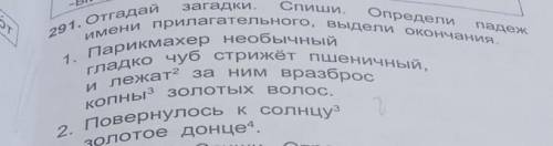 отгадай загадки Спиши Определи падеж имён прилагательных Выдели окончания парикмахер необычный гладк