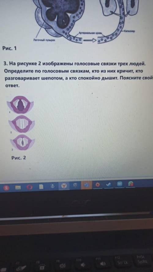 Используя текст учебника, объясните, в чем заключается отличие внешнего дыхания от внутреннего. 2. Ч