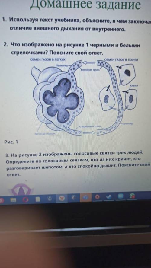 Используя текст учебника, объясните, в чем заключается отличие внешнего дыхания от внутреннего. 2. Ч