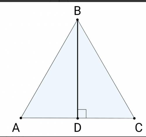 Вычислите длину стороны правильного треугольника, если высота BD = 7,5 м. CA =5√352,52,5√3 ​