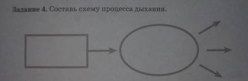 Задание 4. Составь схему процесса дыхания.​