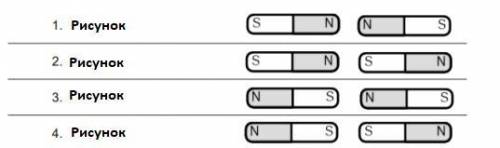 Изучите рисунки! На них показаны магниты (N - север, S - юг). Индикация каких магнитов отталкивает?