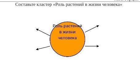 Составьте кластер Роль растений в жизни человека​