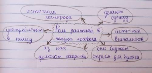 Составьте кластер Роль растений в жизни человека​