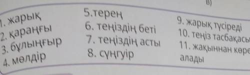 Ен 5.терең9. жарық түсіреді6. теңіздің беті 10. теңіз тасбақасы7. теңіздің асты 11. жақыннан көре8.