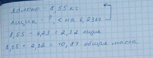 Яблоки весом 8,55 кг уложили в ящик, вес которого на 6,23 кг меньше веса яблок. Найди общую массу яб