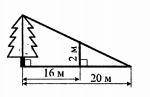 За даними наведеними на рисунку знайдіть висоту дерева.