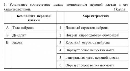 3. Установите соответствие между компонентом нервной клетки и его характеристикой. Компонент нервной