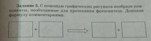 Задание 5. С графических рисунков изобрази ком- поненты, необходимые для протекания фотосинтеза. Доп