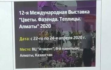 Я написал рекламный текст для посетителей выставки, используя информацию иллюстрации. Объем: 4 предл