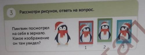 3 Рассмотри рисунок, ответы на вопрос.Пингвин посмотрелна себя в зеркало.Какое изображениеон там уви