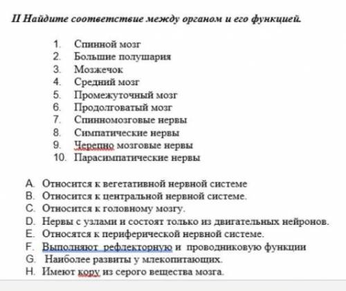 Найдите соответствие между органом и его функцией