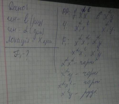 У кота ген, що відповідае за забарелення шерст, покаліаований у Ххромо- соM Один алель цього гена В