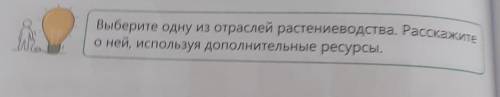 Выберите одну из отраслей растениеводства. Расскажите О ней, используя дополнительные ресурсы