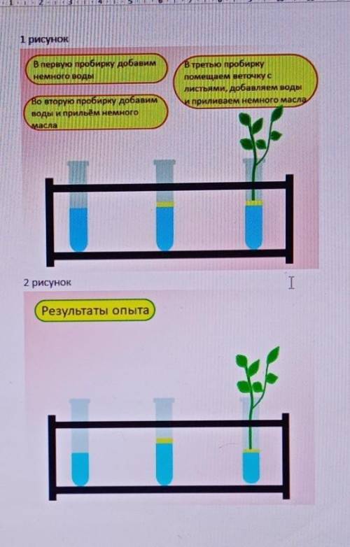 4. Задание. Посмотрите на рисунки. Проанализируйте их и ответьте письменно на вопросы 1 рисунок нача