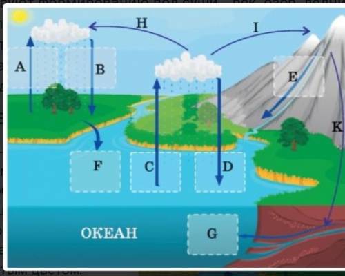 с заданиемНайти малый и большой круговороты воды​