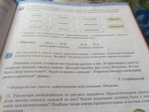 10Согласуй в тексте имена прилагательные с именами существительными в нужном числе и роде.Запиши.Обо