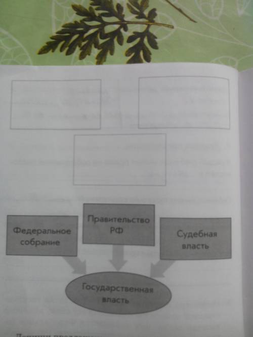 рассмотри схему на стр. 64 (три ветви государственной власти рф ) дополни эту схему задачами каждой