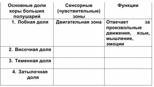 1. Заполните таблицу Большие полушария головного мозгаОсновные доли коры больших полушарий Сенсорные