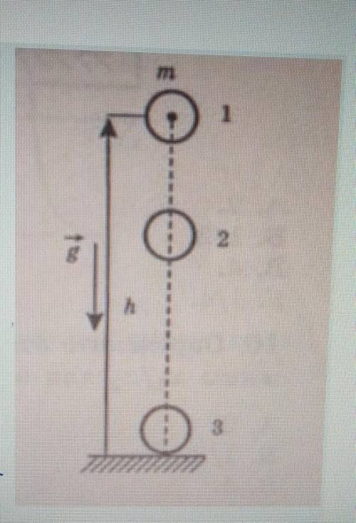 Тело массой m находится на высоте h над поверхностью земли. затем тело опускают, я и оно свободно па