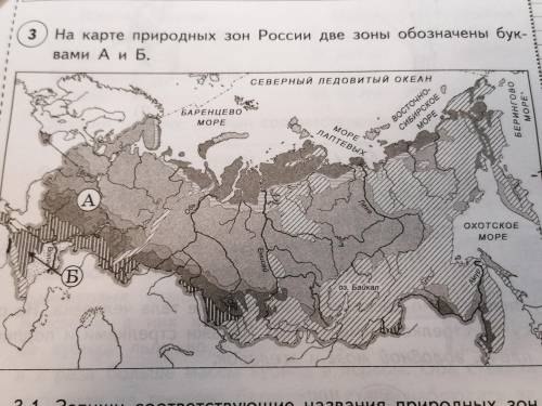 На карте природных зон России две зоны обозначены буквами А и Б. Запиши соответствующие названия при