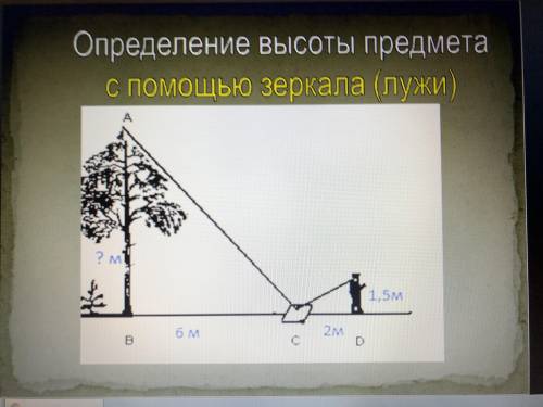 Определение высоты предмета с зеркала (лужи) «файл»