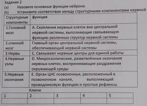 МОЗГ Задание 2(а) Назовите основные функции нейрона.(b) Установите соответствие между структурными к