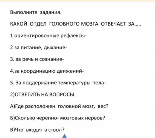 ￼￼￼￼￼￼1)какой отдел головного мозга отвечает за... 2)ответьте на вопросы