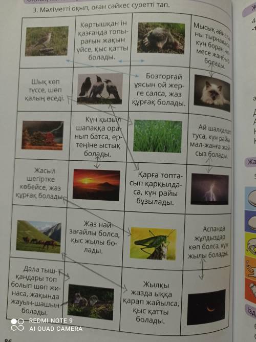 1. Сөйлемдерді толықтыр. Жаз найзағайлы болса, қыс ... болады,Дала тышқандары топ болып шөп жинасажа