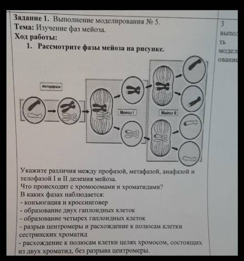 Выполните моделирование и ответьте на вопросы ​