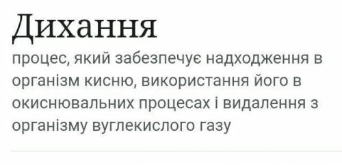 Доведи, що процес дихання належить до хімічних явищ