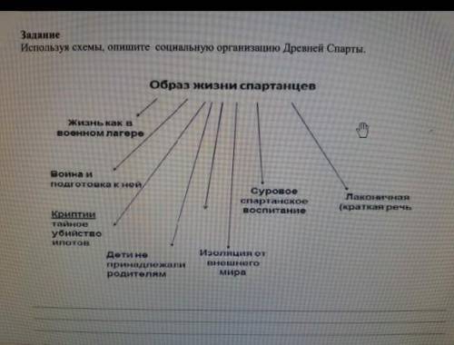 Используя схемы опишиье соцеальную организацию.древней спарты