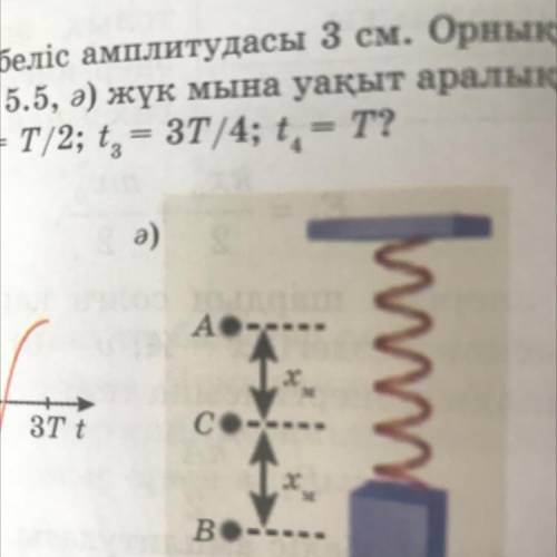 4. Колебания созревания кумыса в момент времени t = 3T показаны на графике (рисунок 5.5, а). Если ма