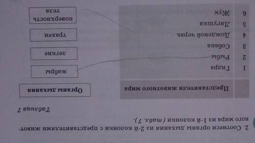 2. Соотнеси органы дыхания из 2-й колонки с представителями живот- ного мира из 1-й колонки (табл. 7