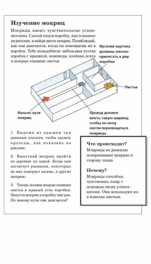 Даю 20 Посмотри на рисунок в той части текста, которая посвящена изучению мокриц. Как этот рисунок т