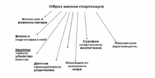 Используя схемы, опишите  социальную организацию Древней Спарты. Обучающийся- используя информацию т