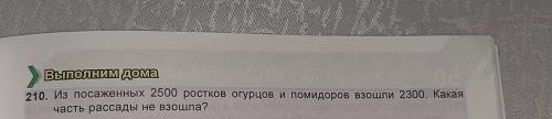 Сделайте условие.210. Из посаженных 2500 ростков огурцов и помидоров взошли 2300. Какая часть рассад