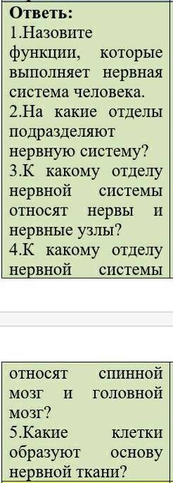 I » ответь:1.Назовитефункции, которые свыполняет нервнаясистема человека.2.На какие отделыподразделя