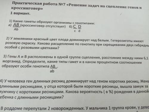 Нужно решить 3 задание