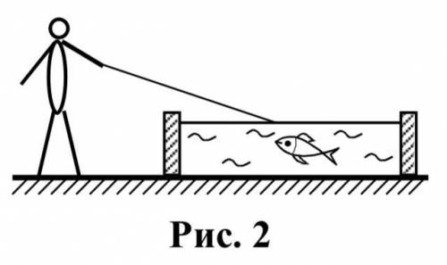 В торговом центре установили большой декоративный бассейн, в котором плавают рыбы (см. рис. 2). Хули